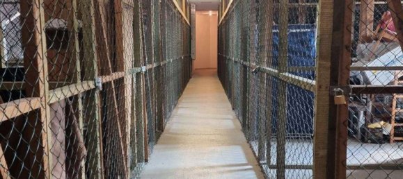 1 غرف نوم شقة في Kiel, Germany رقم 238390 18