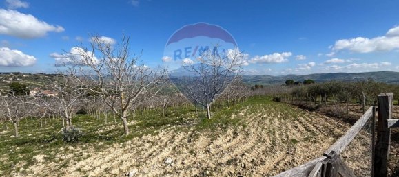 Terrain à Aragona, Italy 18000m² No. 56982 5