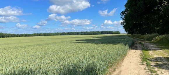 5 غرف نوم منزل في Brandenburg, Germany رقم 39998 20