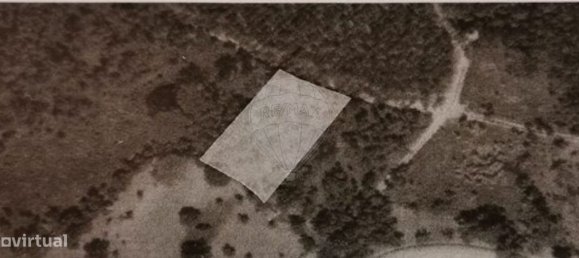 Grundstück in Vila Nova de Poiares, Portugal 3116m², Nr. 332464 4