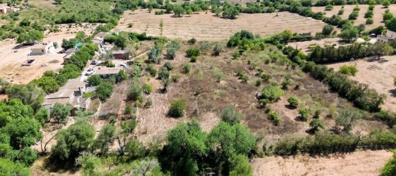 3 غرف نوم منزل في Llucmajor, Spain رقم 167562 11