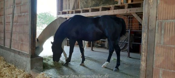 6 rooms House in Schwabisch Hall, Germany No. 23853 13