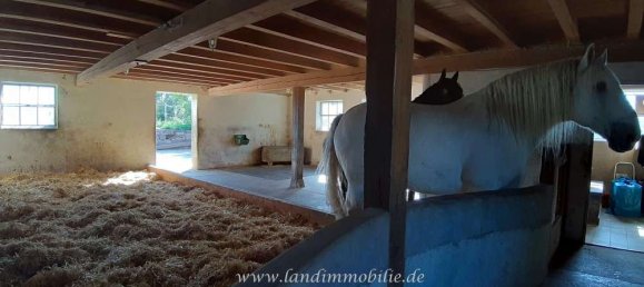 6 rooms House in Schwabisch Hall, Germany No. 23853 8