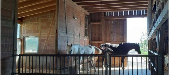 6 rooms House in Schwabisch Hall, Germany No. 23853 9