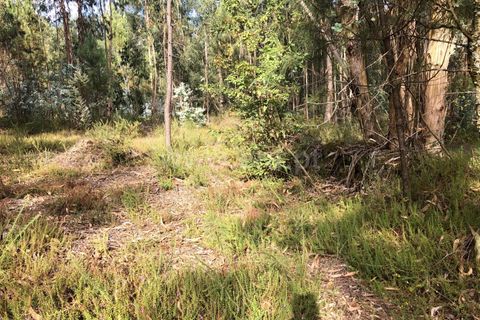 Terreno en Barcelos, Portugal No. 202278