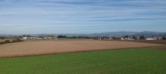 Grundstück in Alkoven, Austria, Nr. 46327 3