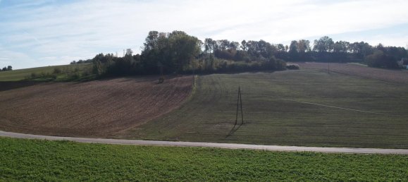 Grundstück in Alkoven, Austria, Nr. 46327 2