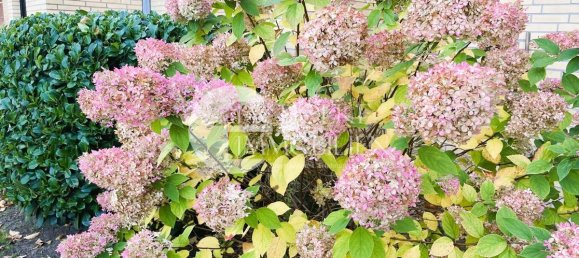 Studio in Uelzen, Germany No. 32444 2