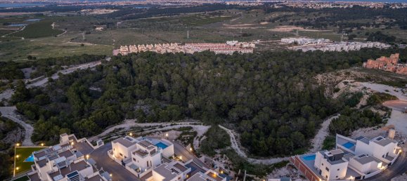 3 bedrooms Villa in San Miguel de Salinas, Spain No. 9080 11