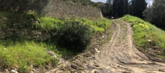 Вилла с 4 комнатами в Монтекориче, Италия № 146341 3