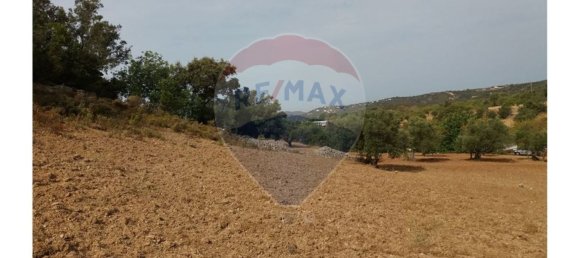 14400m² Land in Faro, Portugal No. 30903 6