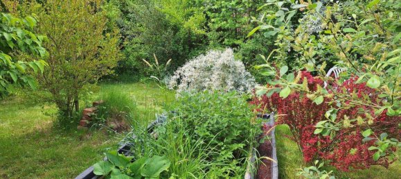 3 rooms House in Deutsch Schutzen-Eisenberg, Austria No. 138094 2