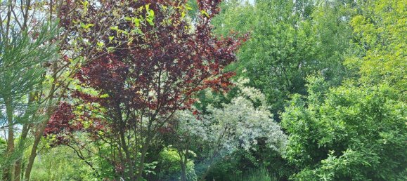 3 rooms House in Deutsch Schutzen-Eisenberg, Austria No. 138094 20