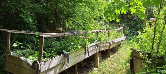 3 rooms House in Deutsch Schutzen-Eisenberg, Austria No. 138094 11