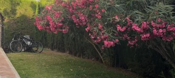 Villa de 4 dormitorios en Marbella, Spain No. 173017 13