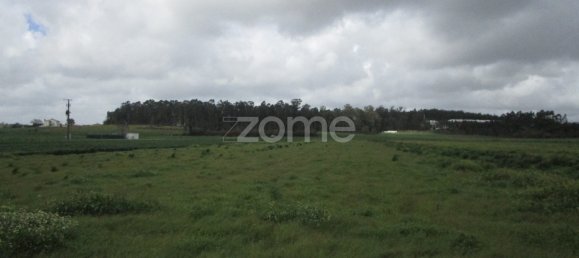 Grundstück in Vila Nova de Famalicao, Portugal, Nr. 32084 4