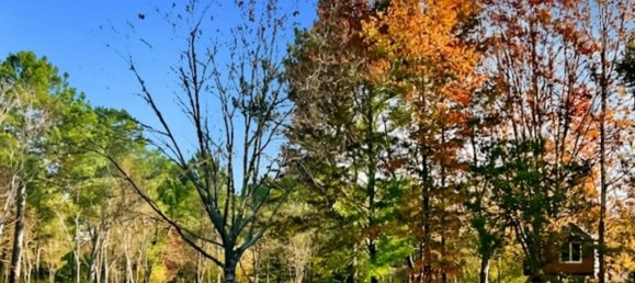 5 غرف نوم منزل في Pessac, France رقم 101506 28