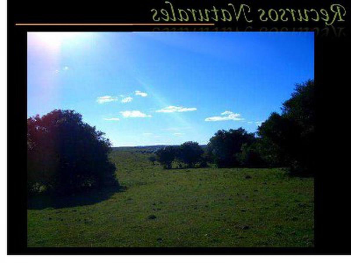 Bauernhof in Maldonado, Uruguay, Nr. 14249