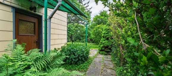 13-Zimmer Haus in Gänserndorf, Austria, Nr. 135617 50