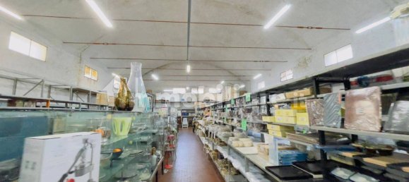 2-salle Propriété commerciale à Civitavecchia, Italy No. 91448 4