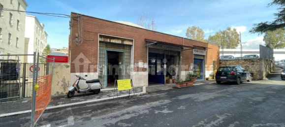 2-salle Propriété commerciale à Civitavecchia, Italy No. 91448 17