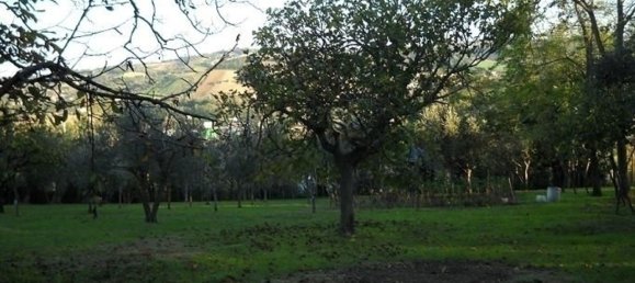 8-Zimmer Villa in Senigallia, Italy, Nr. 134003 10