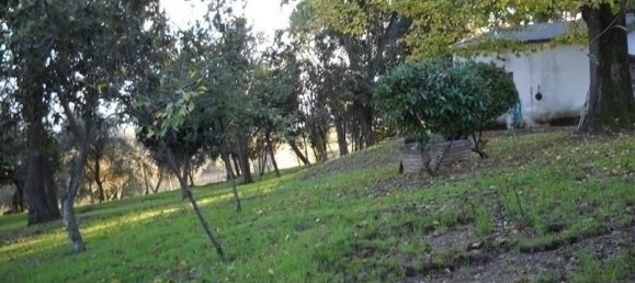 8-Zimmer Villa in Senigallia, Italy, Nr. 134003 9