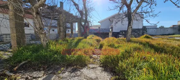 10 bedrooms House in Maiorca, Portugal No. 73027 2