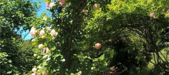 5غرفة منزل في Mornico Losana, Italy رقم 258834 22