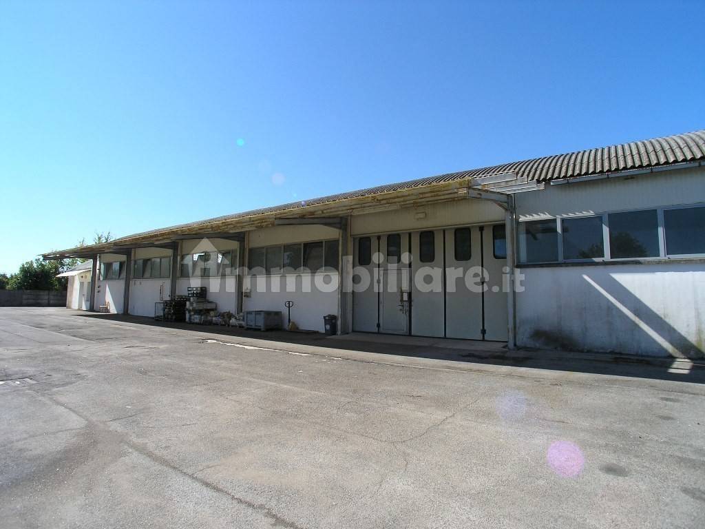 1 room Warehouse in Udine, Italy No. 322113