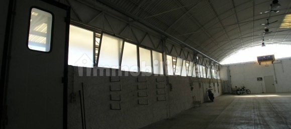 1 room Warehouse in Udine, Italy No. 322113 8