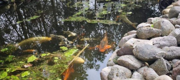 6 rooms House in Prignitz, Germany No. 337611 6