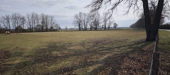 6 rooms House in Prignitz, Germany No. 337611 3