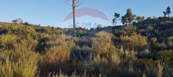 90000m² Land in Sernancelhe, Portugal No. 90062 34