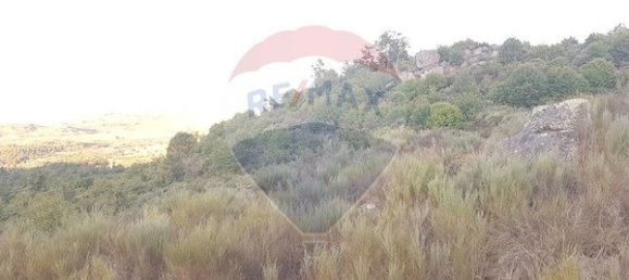 90000m² Land in Sernancelhe, Portugal No. 90062 14