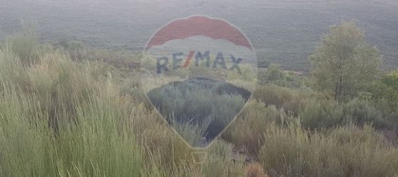 90000m² Land in Sernancelhe, Portugal No. 90062 4