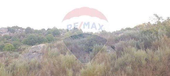 90000m² Land in Sernancelhe, Portugal No. 90062 8