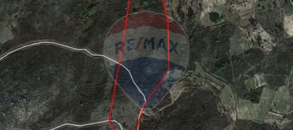 90000m² Land in Sernancelhe, Portugal No. 90062 17