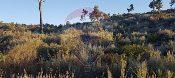 90000m² Land in Sernancelhe, Portugal No. 90062 13