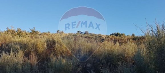 90000m² Land in Sernancelhe, Portugal No. 90062 23