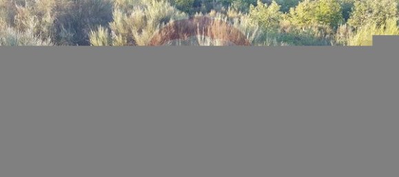 90000m² Land in Sernancelhe, Portugal No. 90062 31