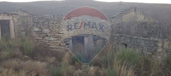 90000m² Land in Sernancelhe, Portugal No. 90062 38