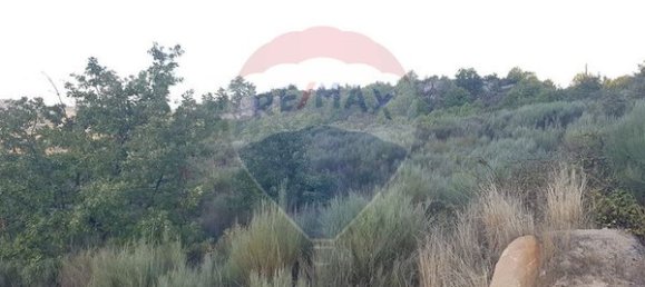 90000m² Land in Sernancelhe, Portugal No. 90062 7