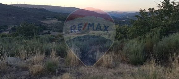 90000m² Land in Sernancelhe, Portugal No. 90062 24