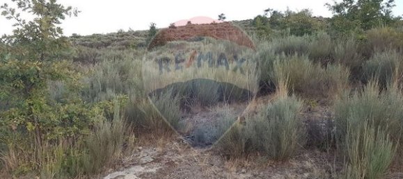 90000m² Land in Sernancelhe, Portugal No. 90062 35