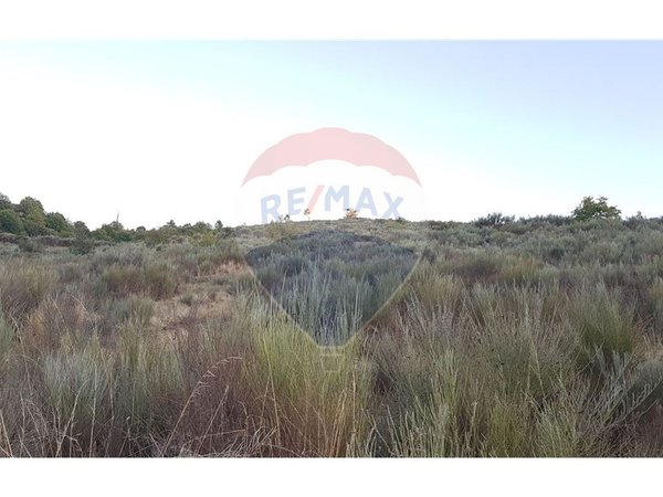 90000m² Land in Sernancelhe, Portugal No. 90062