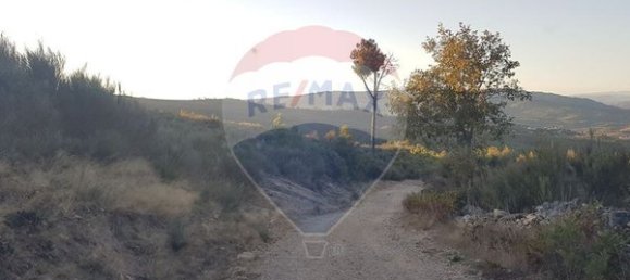 90000m² Land in Sernancelhe, Portugal No. 90062 25