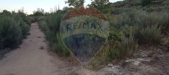 90000m² Land in Sernancelhe, Portugal No. 90062 40