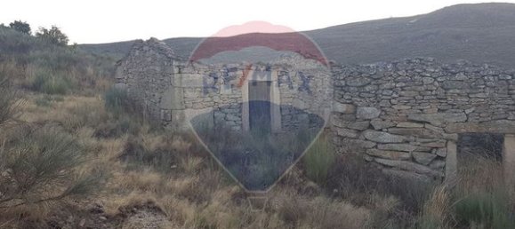 90000m² Land in Sernancelhe, Portugal No. 90062 10