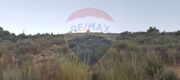 90000m² Land in Sernancelhe, Portugal No. 90062 5